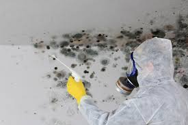 Best Water Damage & Mold Remediation  in Chelsea, MI